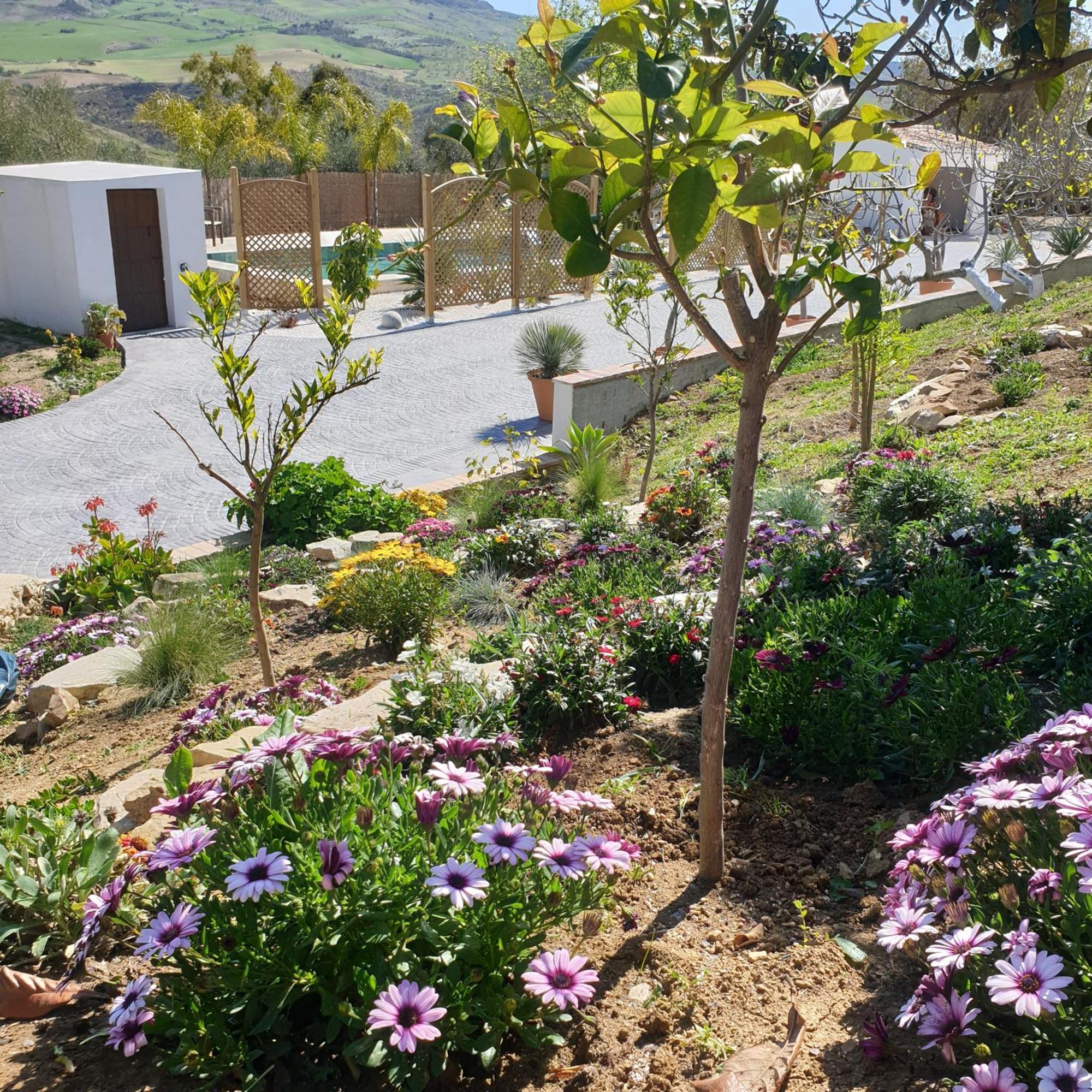 Finca Altozano - Private Pool - Unique Client Valle de Abdalagís Екстериор снимка