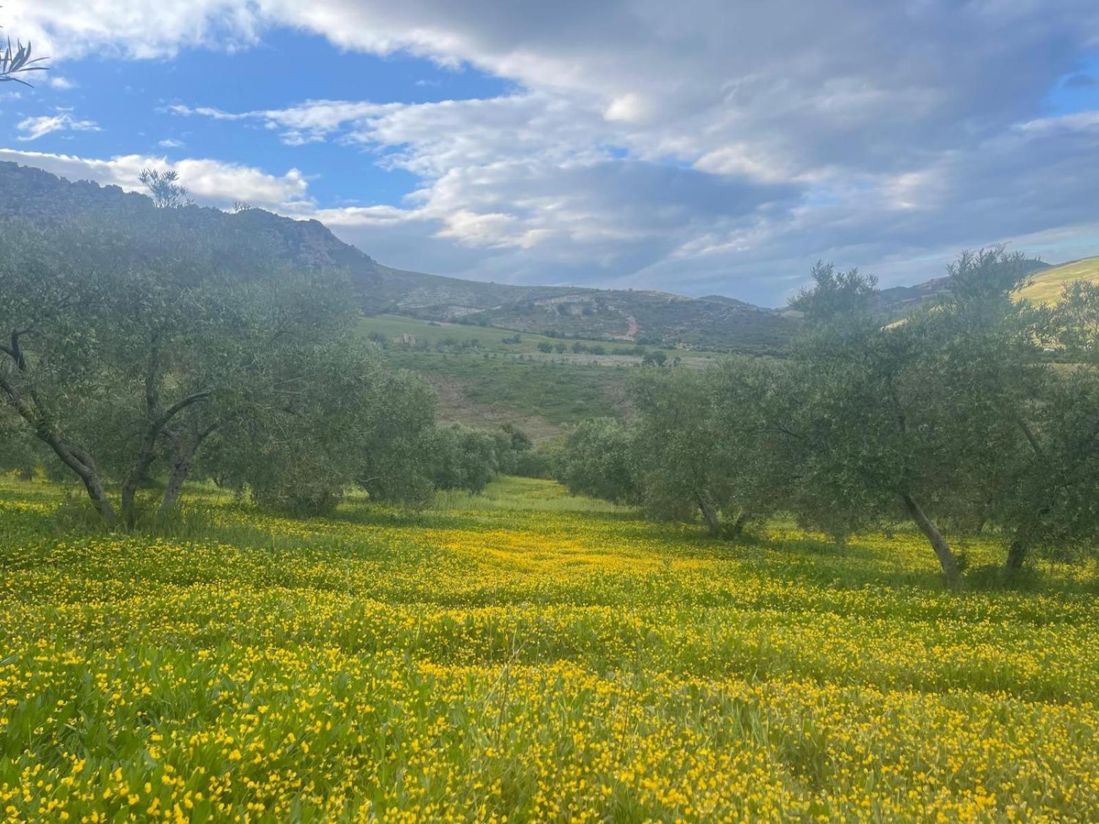 Finca Altozano - Private Pool - Unique Client Valle de Abdalagís Екстериор снимка